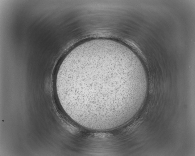 X0000071960439200608041623