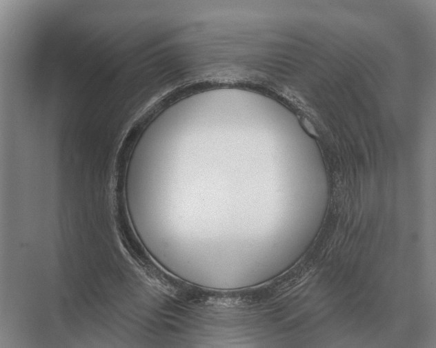 X0000071960440200608041623