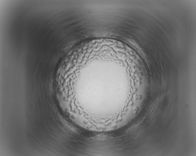 X0000071960441200608041623