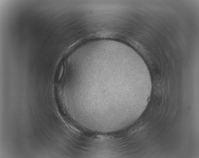 X0000071960442200608041623