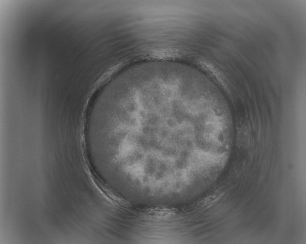 X0000071960443200608041623