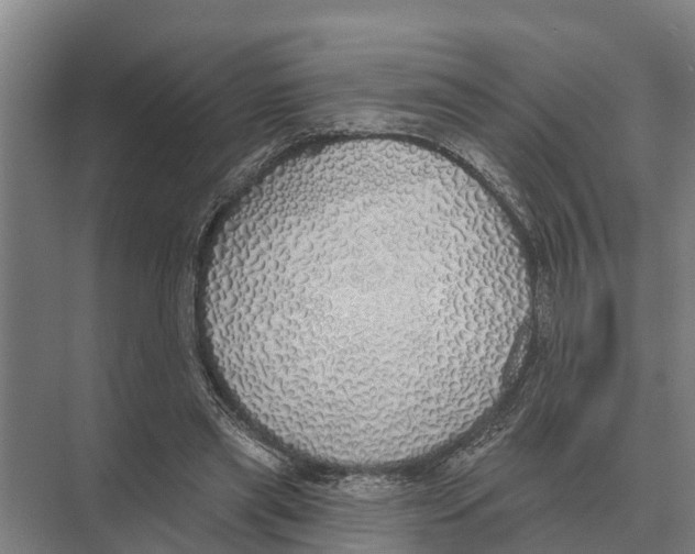 X0000071960445200608041623