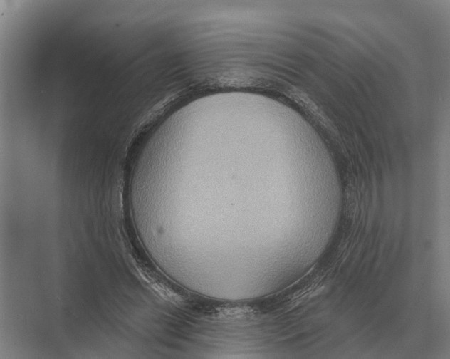 X0000071960446200608041623