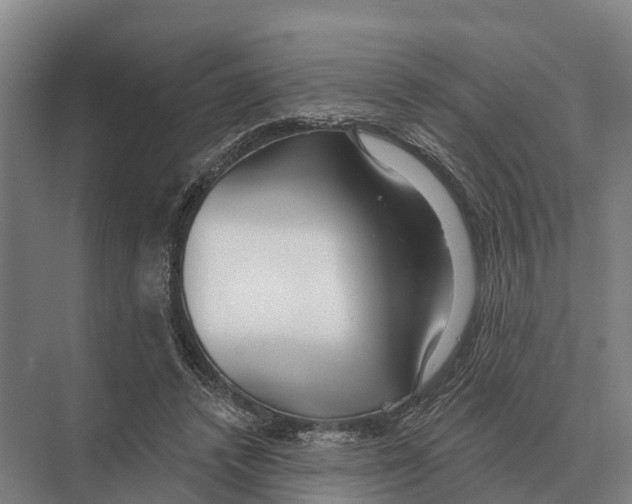 X0000071960448200608041623