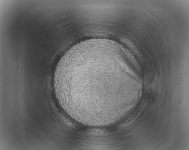 X0000071960449200608041623