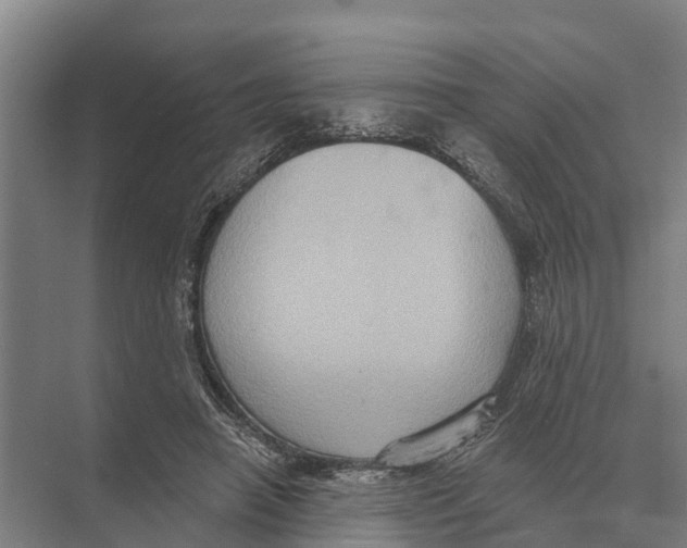 X0000071960450200608041623