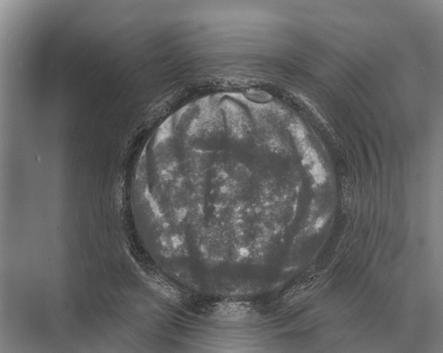 X0000071960451200608041623