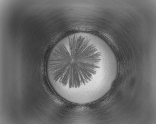 X0000071960453200608041623