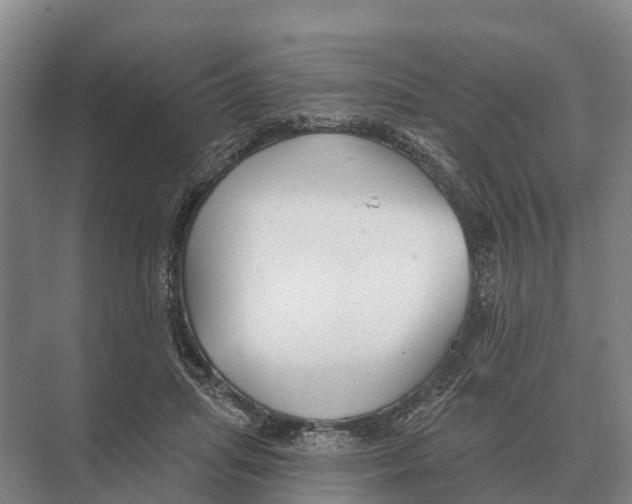 X0000071960455200608041623