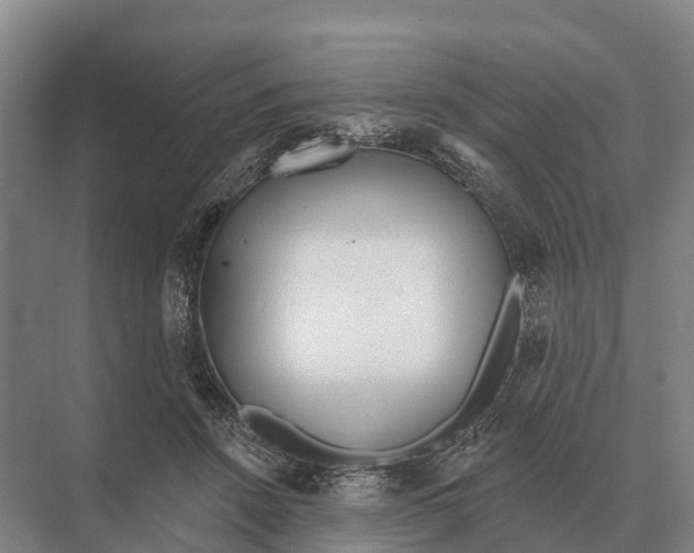 X0000071960456200608041623