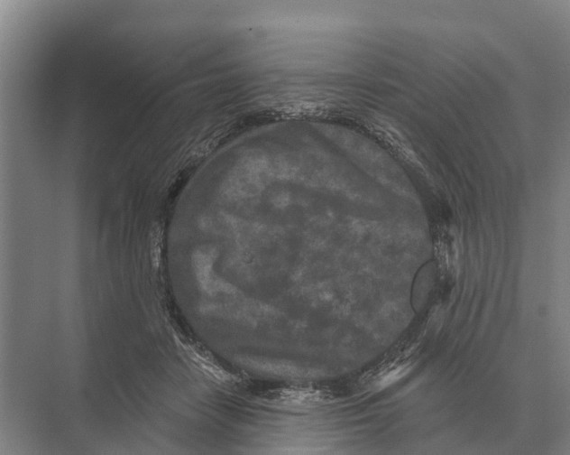 X0000071960458200608041623