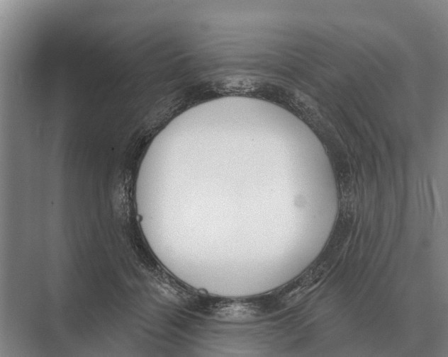 X0000071960460200608041624