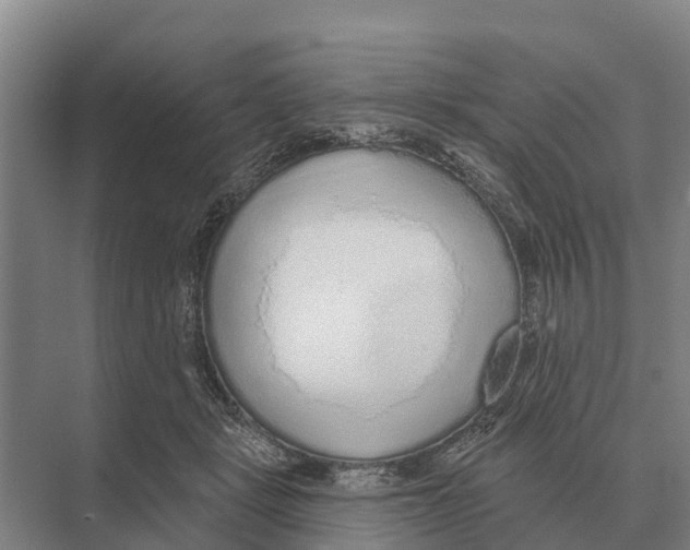 X0000071960461200608041624