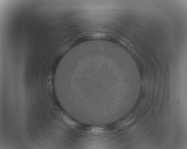 X0000071960462200608041624