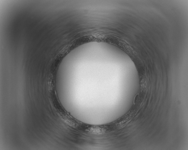 X0000071960464200608041624