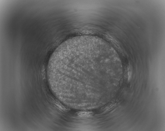 X0000071960465200608041624