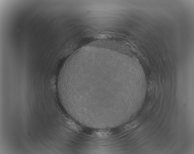 X0000071960466200608041624