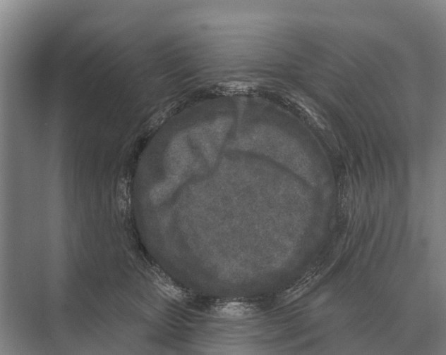 X0000071960467200608041624