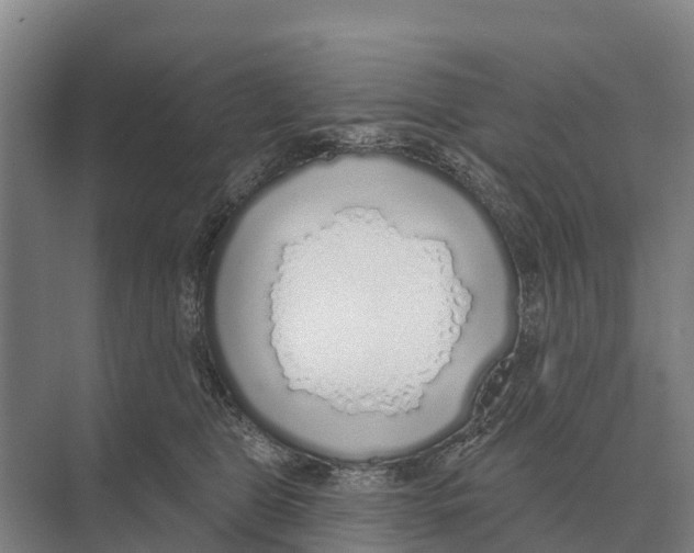 X0000071960469200608041624