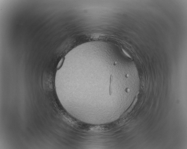 X0000071960470200608041624