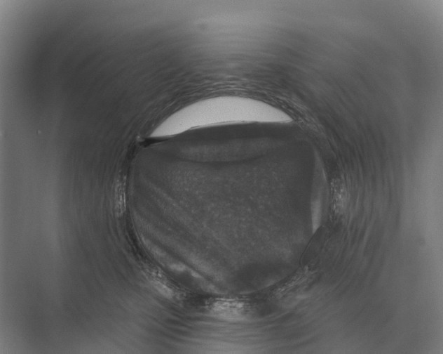 X0000071960471200608041624