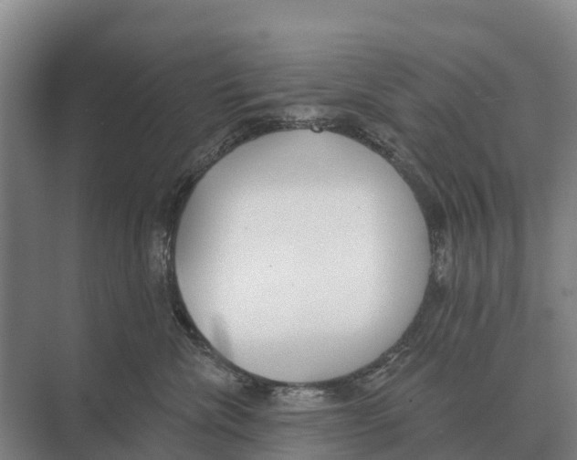 X0000071960476200608041624