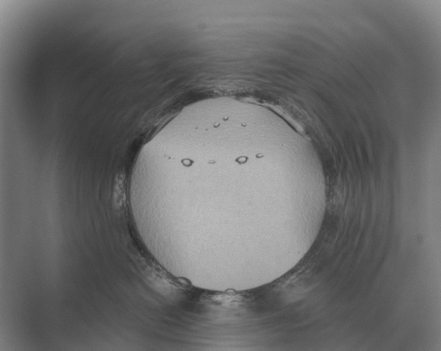 X0000071960478200608041624