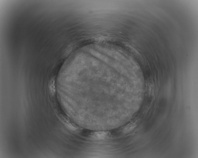 X0000071960479200608041624