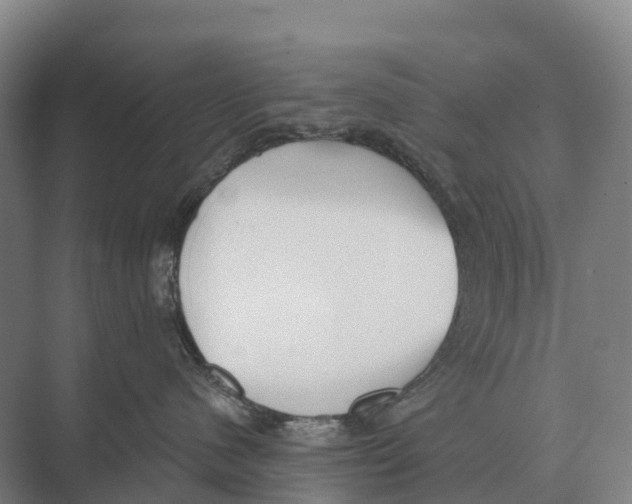 X0000071960480200608041624