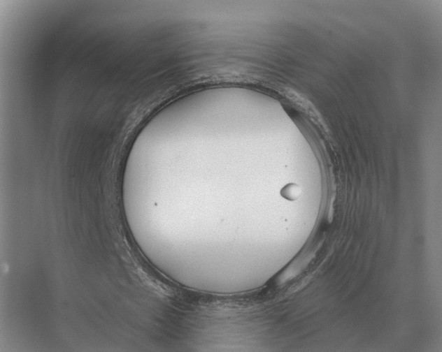 X0000071960481200608041623