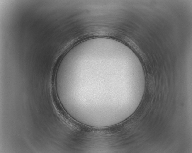 X0000071960482200608041623