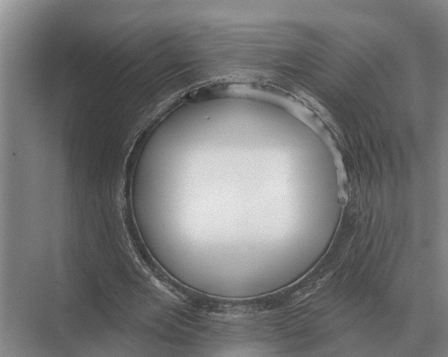 X0000071960485200608041623