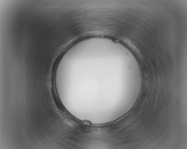 X0000071960486200608041623