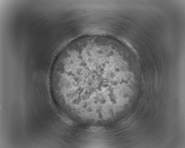 X0000071960487200608041623