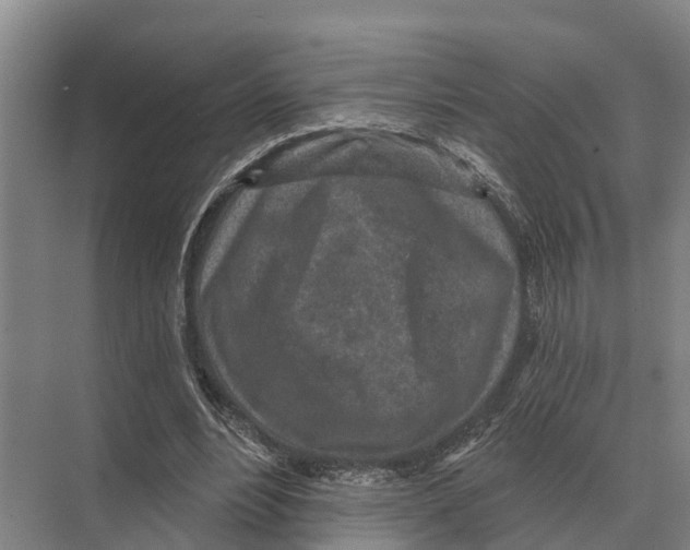 X0000071960488200608041623