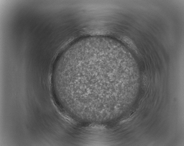 X0000071960491200608041623