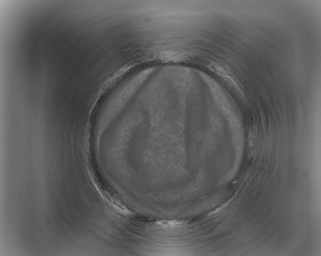 X0000071960492200608041623