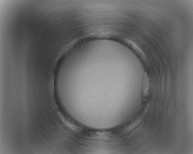 X0000071960493200608041623