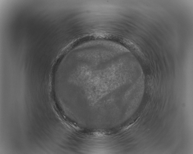 X0000071960496200608041623