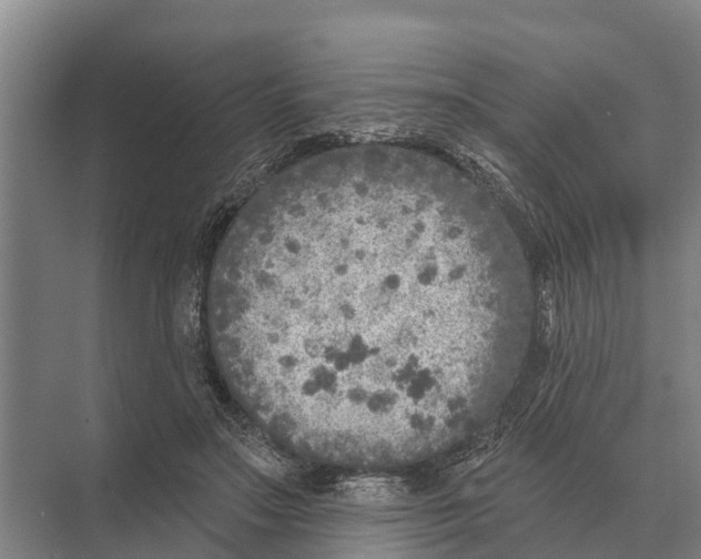 X0000071960499200608041623