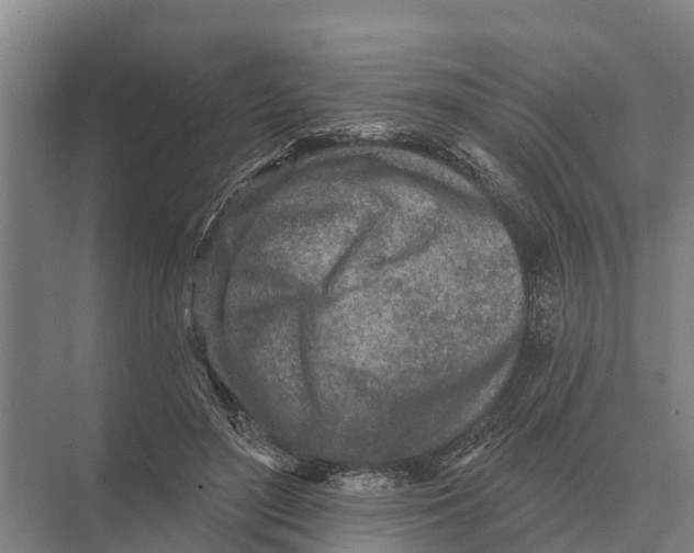 X0000071960500200608041623