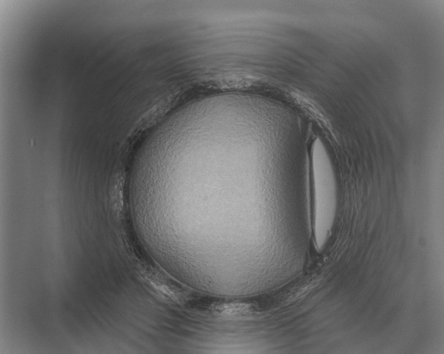 X0000071960501200608041623