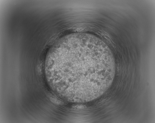 X0000071960503200608041623