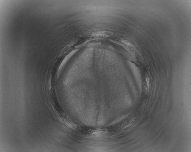 X0000071960504200608041623