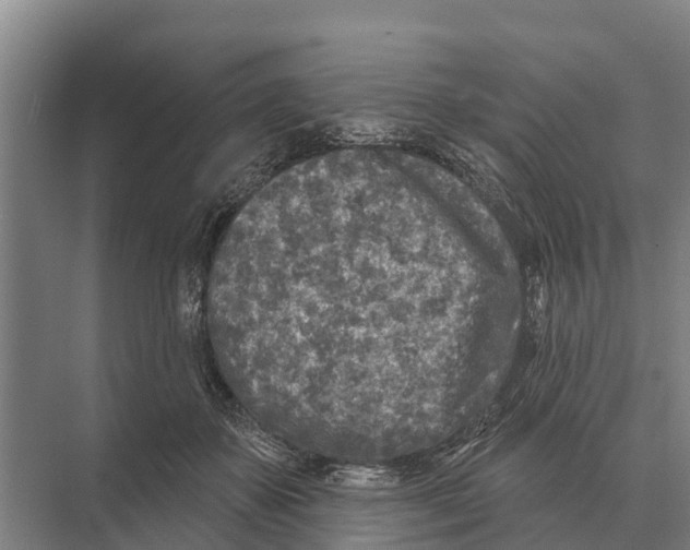 X0000071960507200608041623