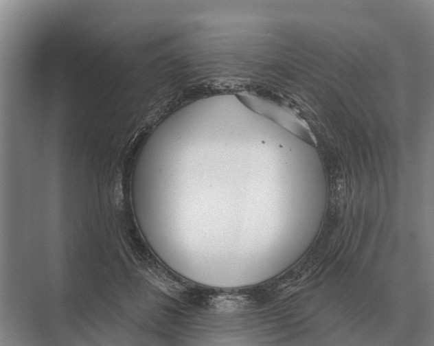 X0000071960508200608041623