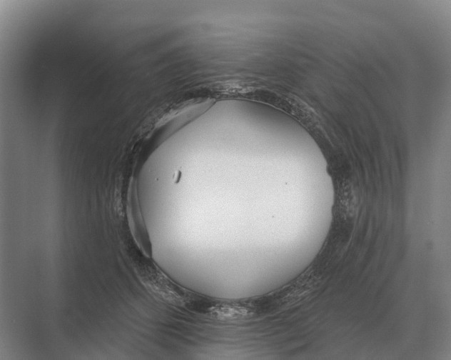 X0000071960512200608041623