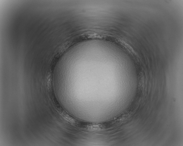 X0000071960513200608041623