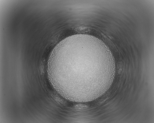 X0000071960515200608041622