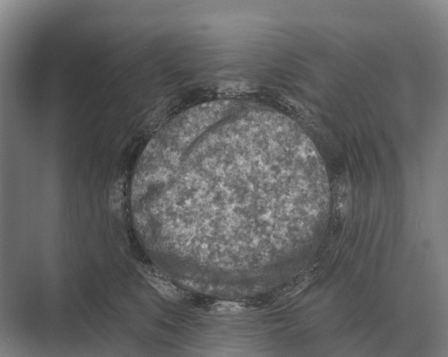 X0000071960519200608041622